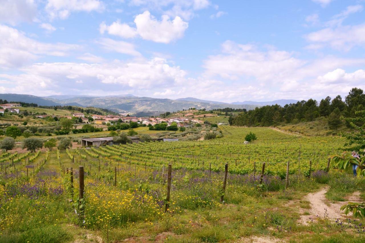 Casas De Selhariz Villa Vidago Luaran gambar